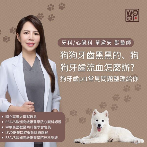 狗狗牙齒黑黑的、狗狗牙齒流血怎麼辦？
