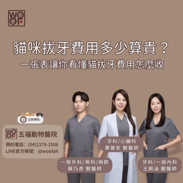 how-much-is-considered-expensive-for-cat-tooth-extraction