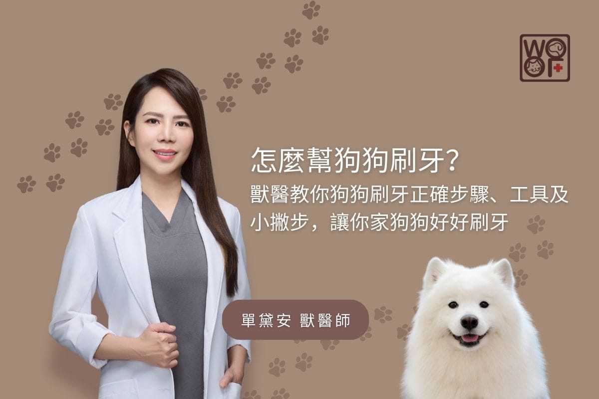 怎麼幫狗狗刷牙？獸醫教你狗狗刷牙正確步驟、工具及小撇步，讓你家狗狗好好刷牙