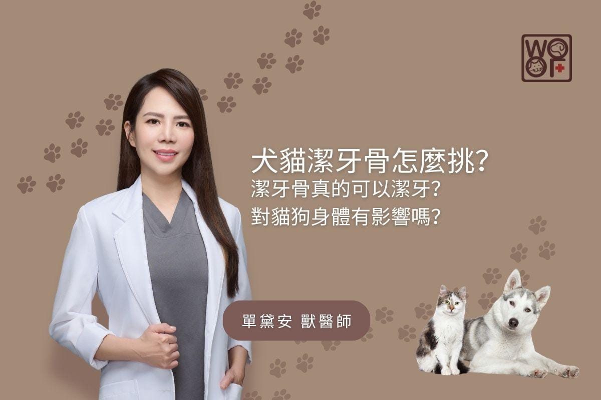 犬貓潔牙骨怎麼挑？潔牙骨真的可以潔牙？對貓狗身體有影響嗎？