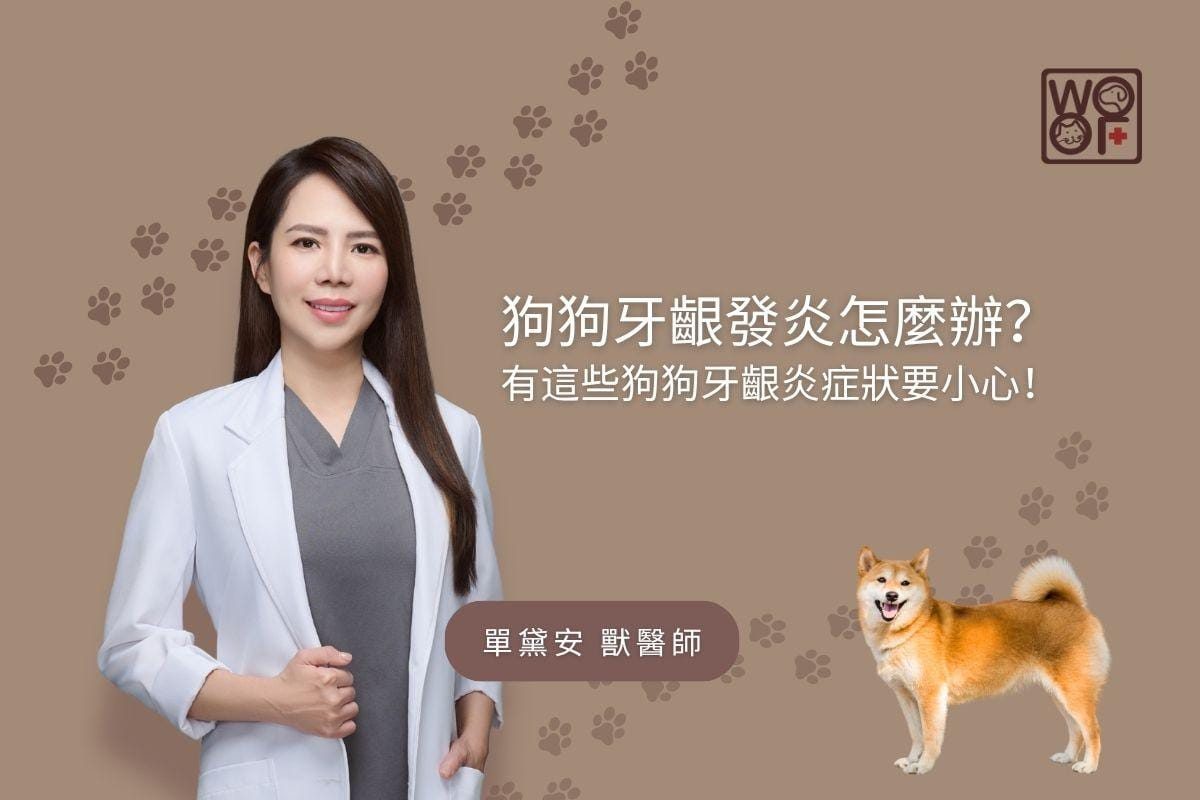 狗狗牙齦發炎怎麼辦？ 有這些狗狗牙齦炎症狀要小心！