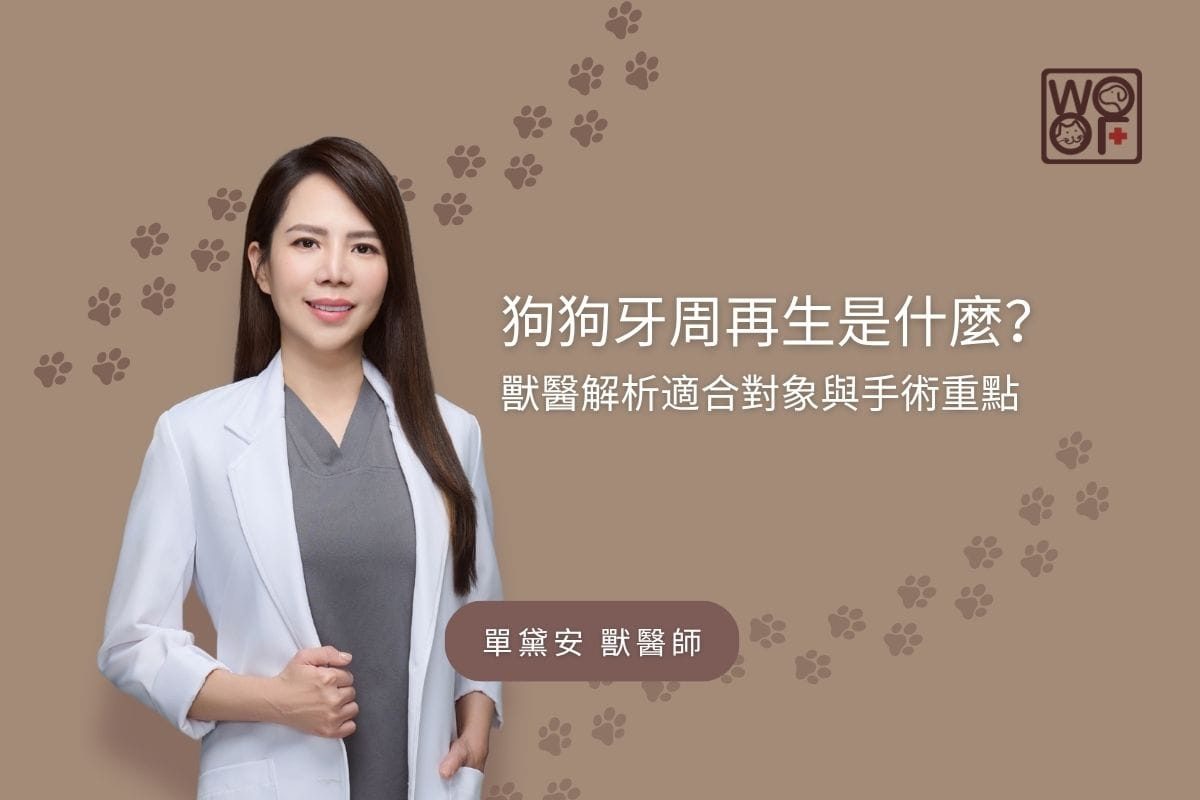 狗狗牙周再生是什麼？獸醫解析適合對象與手術重點