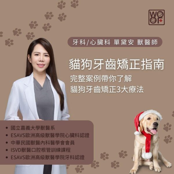 貓狗牙齒矯正指南，完整案例帶你了解貓狗牙齒矯正3大療法