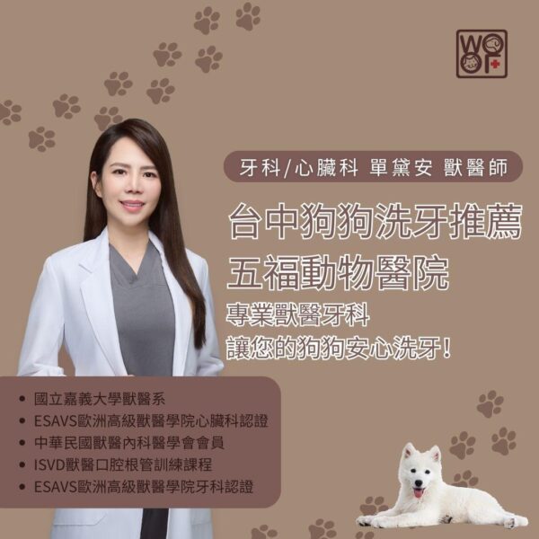 台中狗狗洗牙推薦五福動物醫院，專業獸醫牙科讓您的狗狗安心洗牙！