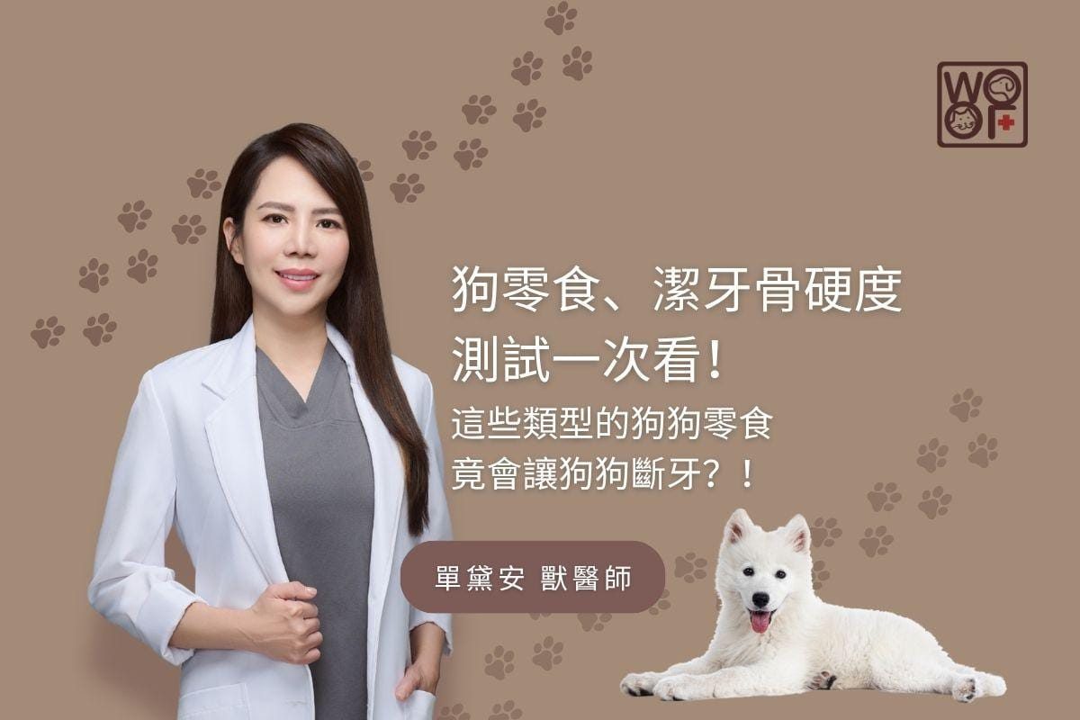 狗零食、潔牙骨硬度測試一次看！這些類型的狗狗零食竟會讓狗狗斷牙？！