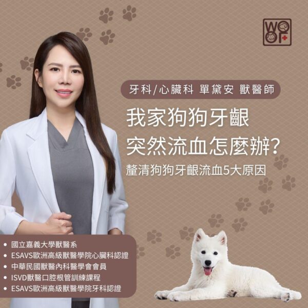 我家狗狗牙齦突然流血怎麼辦？釐清狗狗牙齦流血5大原因