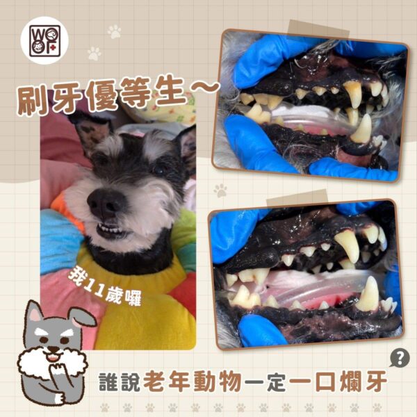 刷牙優等生v2