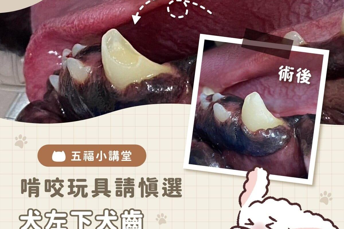 啃咬玩具請慎選