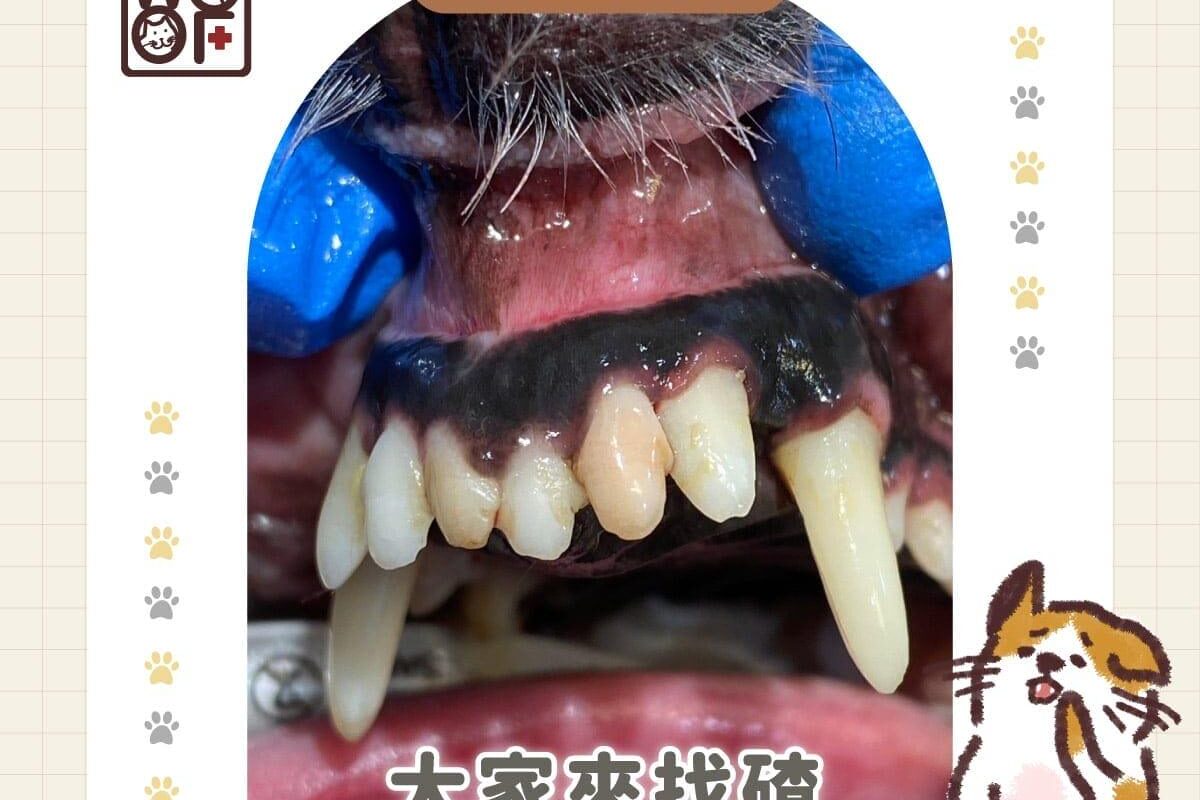 大家來找碴牙齒變色的秘密