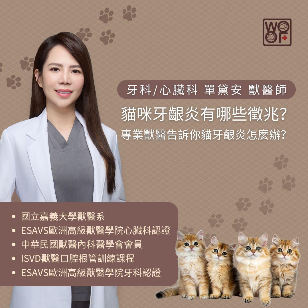 貓咪牙齦炎有哪些徵兆？專業獸醫告訴你貓牙齦炎怎麼辦？