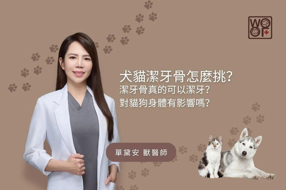 犬貓潔牙骨怎麼挑？潔牙骨真的可以潔牙？對貓狗身體有影響嗎？