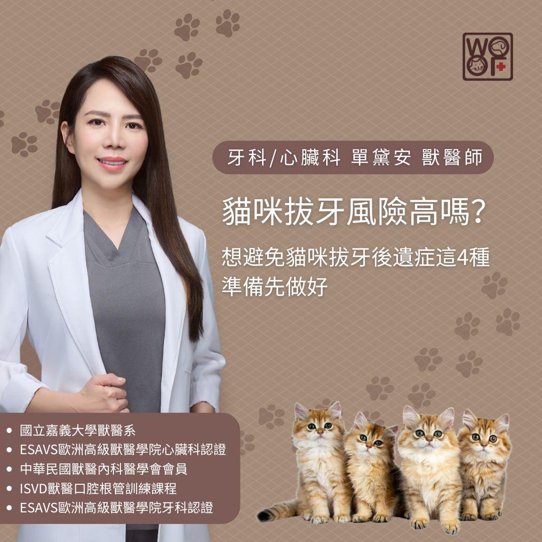 貓咪拔牙風險高嗎？想避免貓咪拔牙後遺症這4種準備先做好
