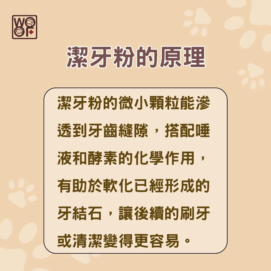 潔牙粉的原理