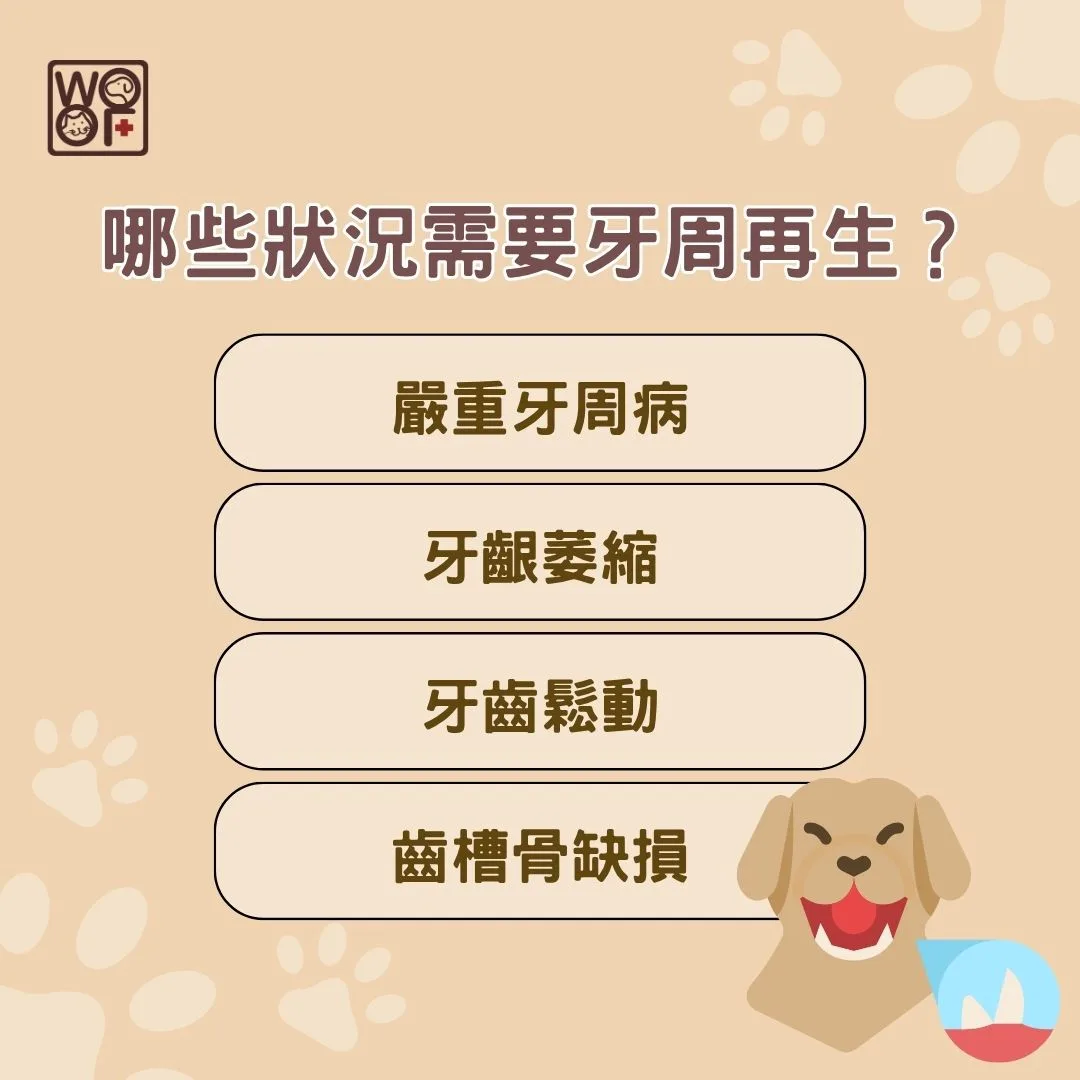 哪些狀況需要牙周再生2
