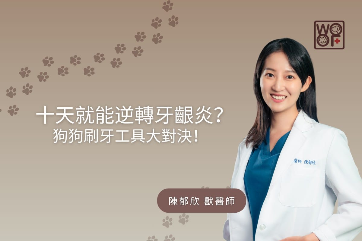 十天就能逆轉牙齦炎？狗狗刷牙工具大對決！