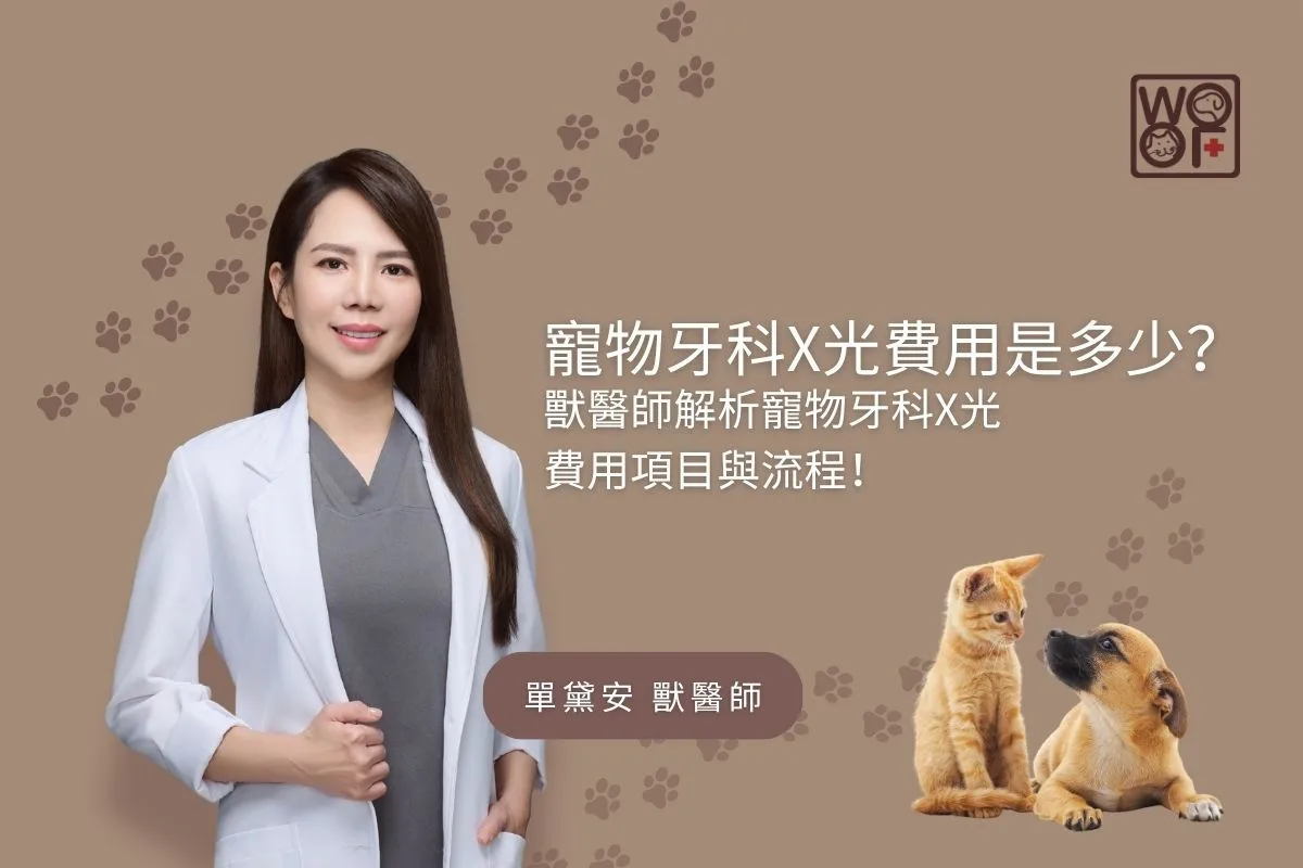 寵物牙科X光費用是多少？獸醫師解析寵物牙科X光費用項目與流程！