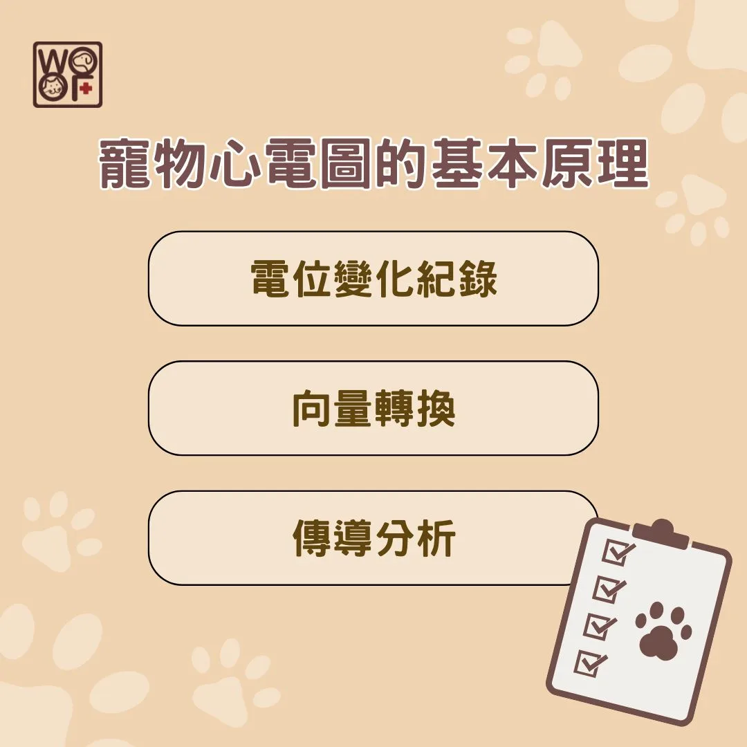 寵物心電圖的基本原理