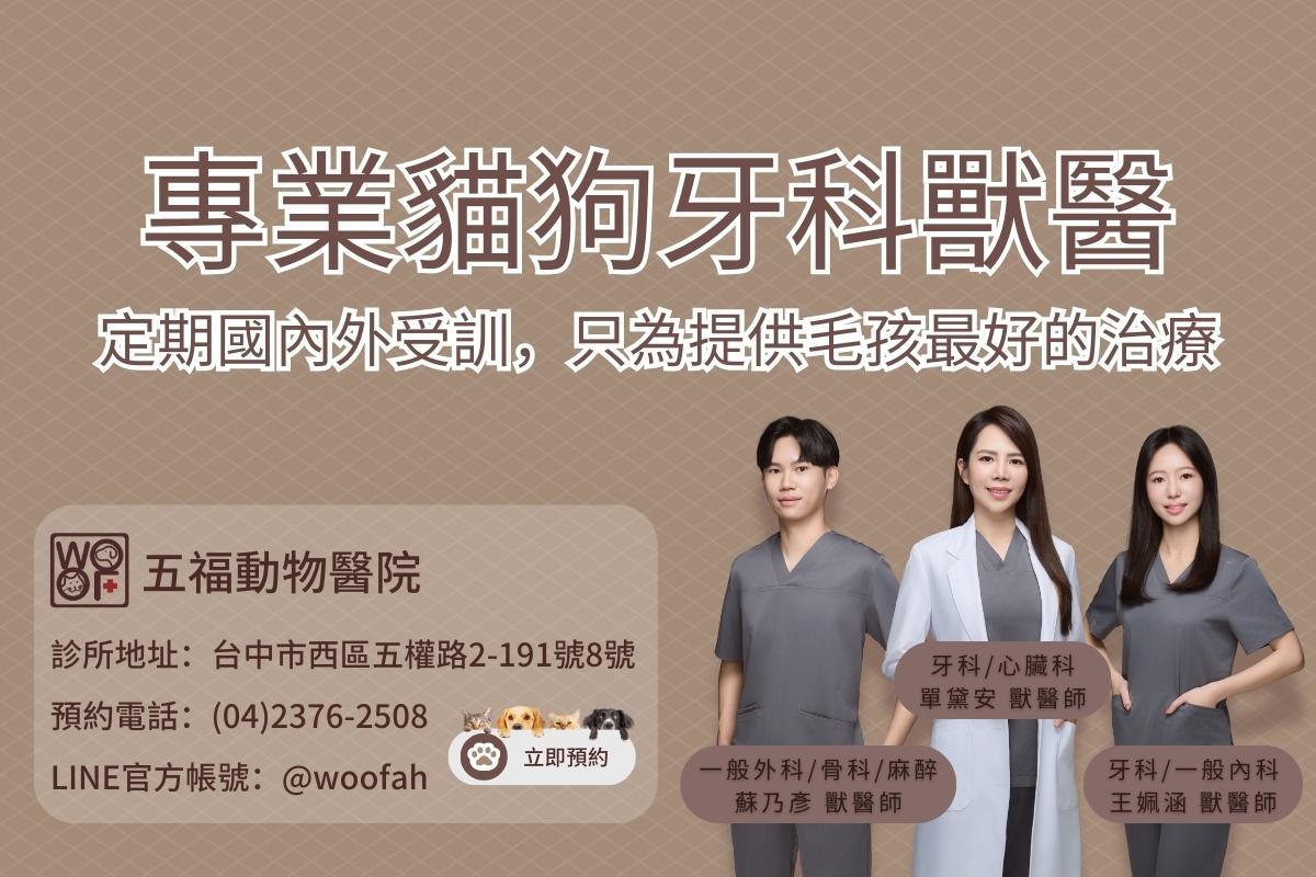 台中五福動物醫院專業犬貓牙科獸醫，定期國內外受訓，只為提供毛孩最好的治療