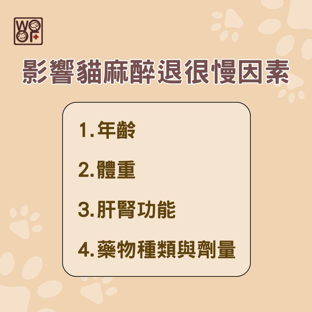 貓麻醉退很慢怎麼辦?貓麻醉恢復、反應、後遺症及注意事項全指南 1 影響貓麻醉退很慢因素