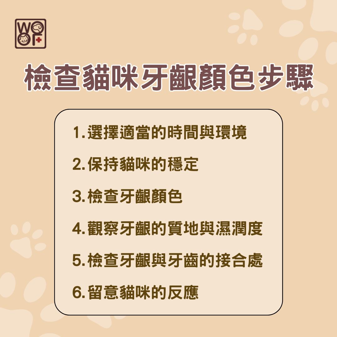 貓正常牙齦顏色是什麼?認識各種貓咪牙齦顏色的差別與處理方式 1 檢查貓咪牙齦顏色步驟