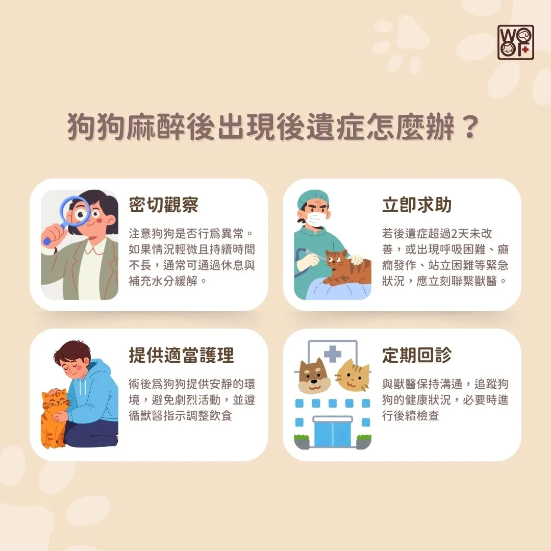 狗狗麻醉後出現後遺症怎麼辦？