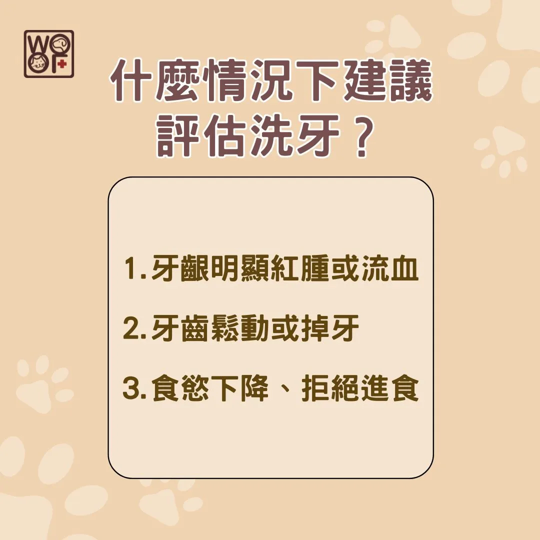 什麼情況下建議評估洗牙？