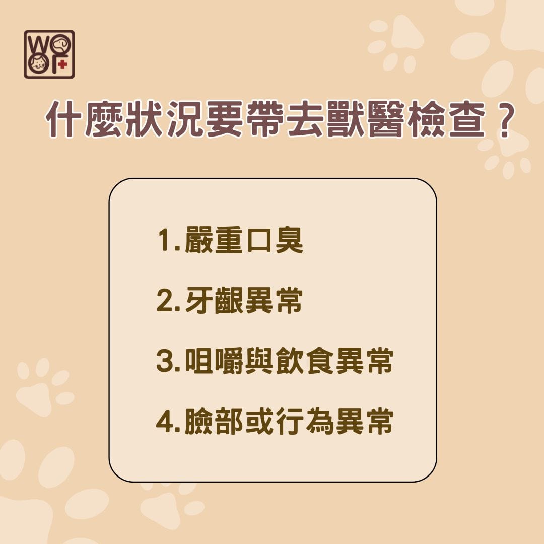 什麼狀況要帶去獸醫檢查？