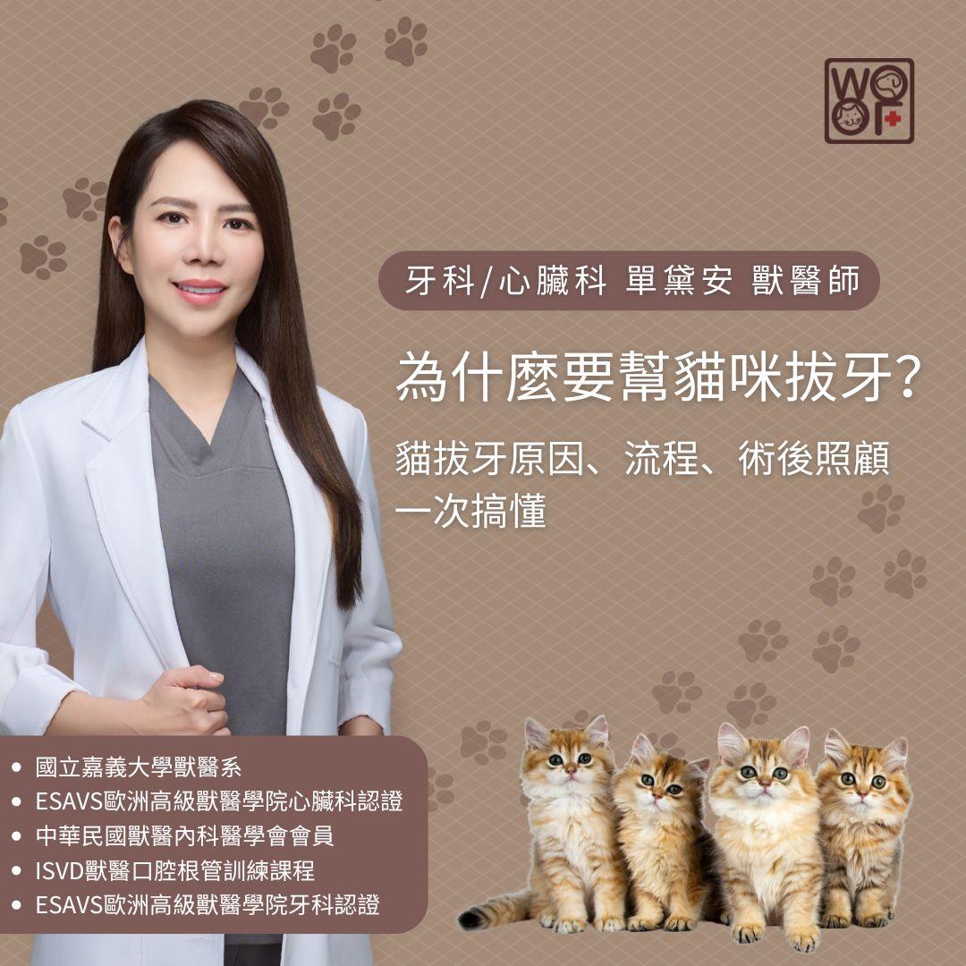 為什麼要幫貓咪拔牙？貓拔牙原因、流程、術後照顧一次搞懂