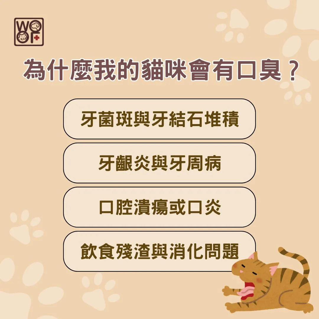 為什麼我的貓咪會有口臭？