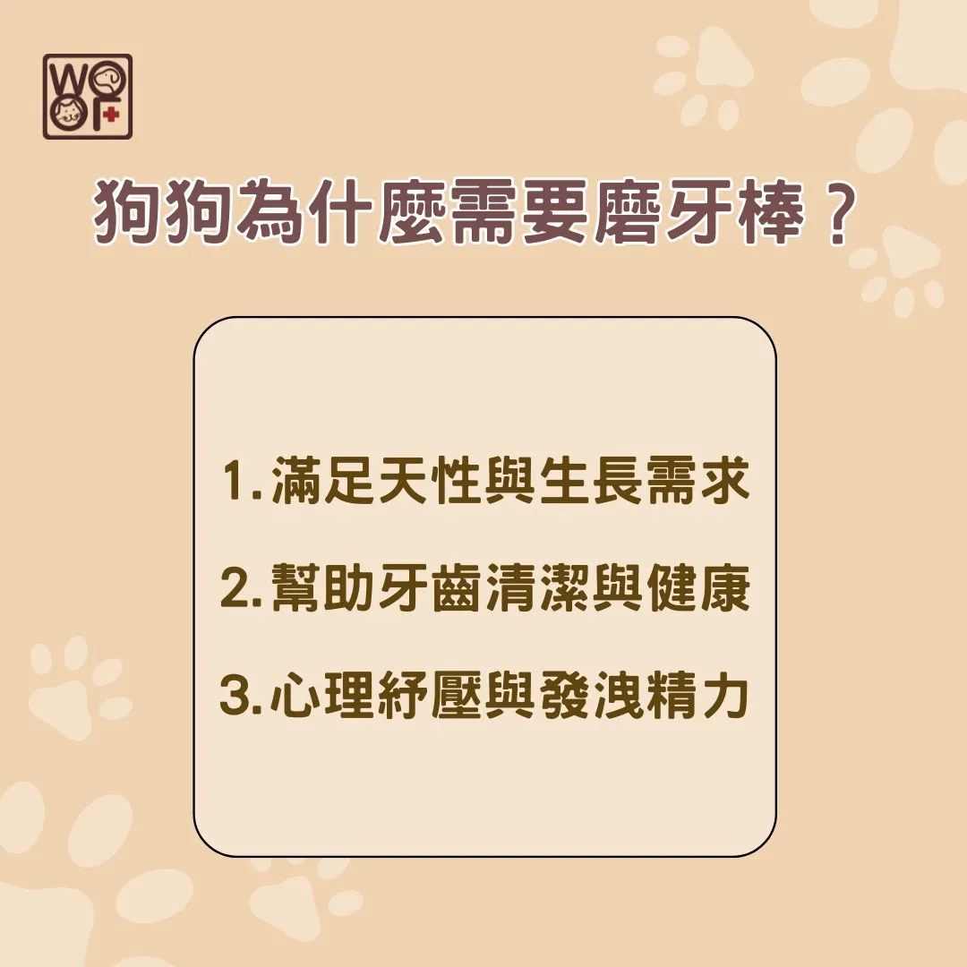狗狗為什麼需要磨牙棒？