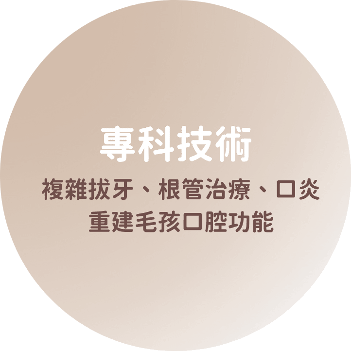 五福＿首內文圖 (11)