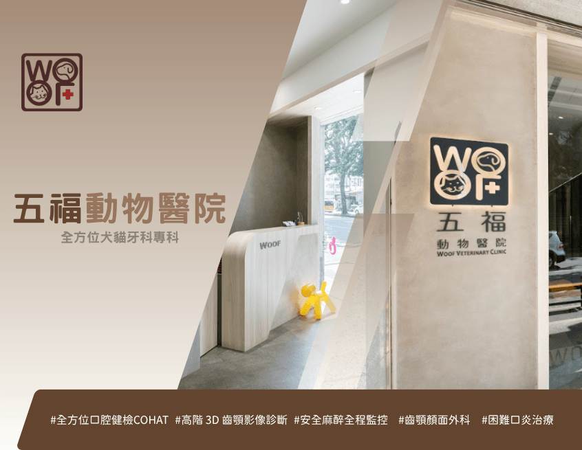 五福＿首內文圖 3