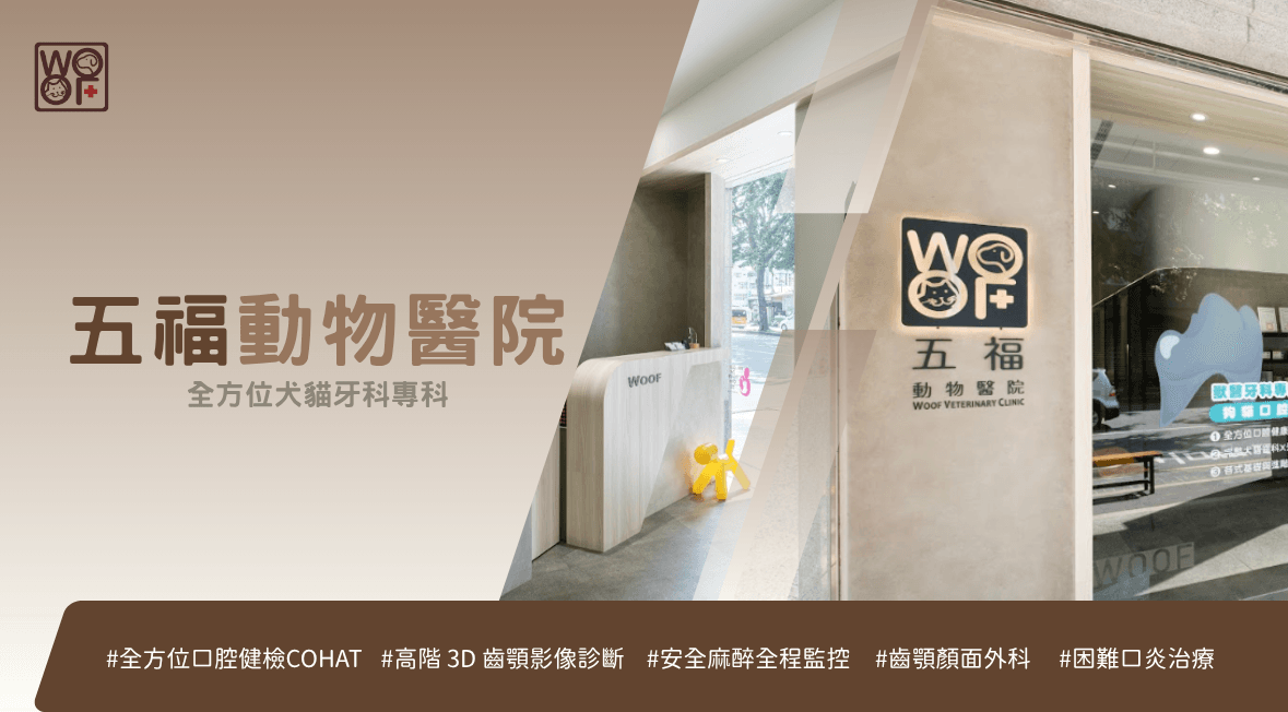 五福＿首內文圖 4